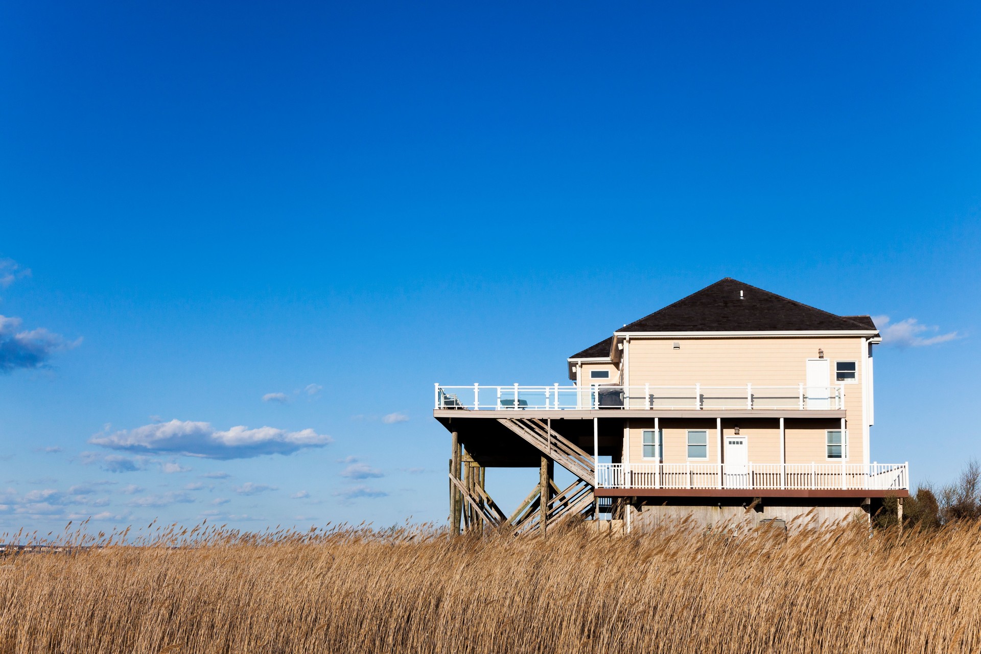 House in the Marshes